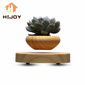 Floating Pots