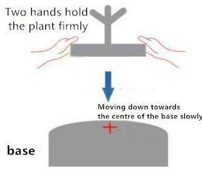 Floating Pots