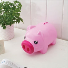 Cute Piggy